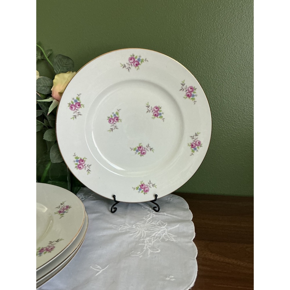 Vintage Graf von Henneberg HEP29 Dinner Plates Set of 4 | German Porcelain China